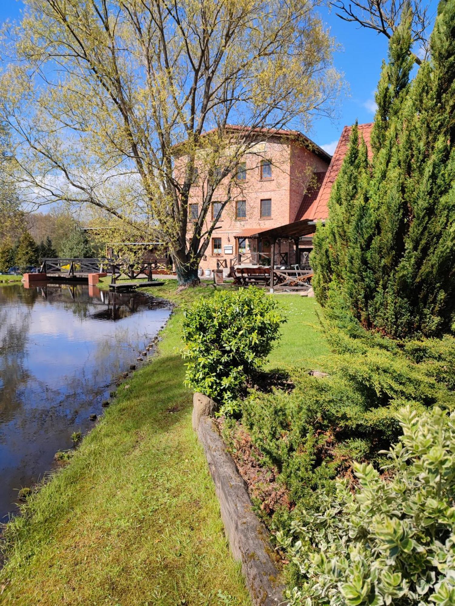 Stary Mlyn W Brzeznicy Villa Brzeznica  Kültér fotó